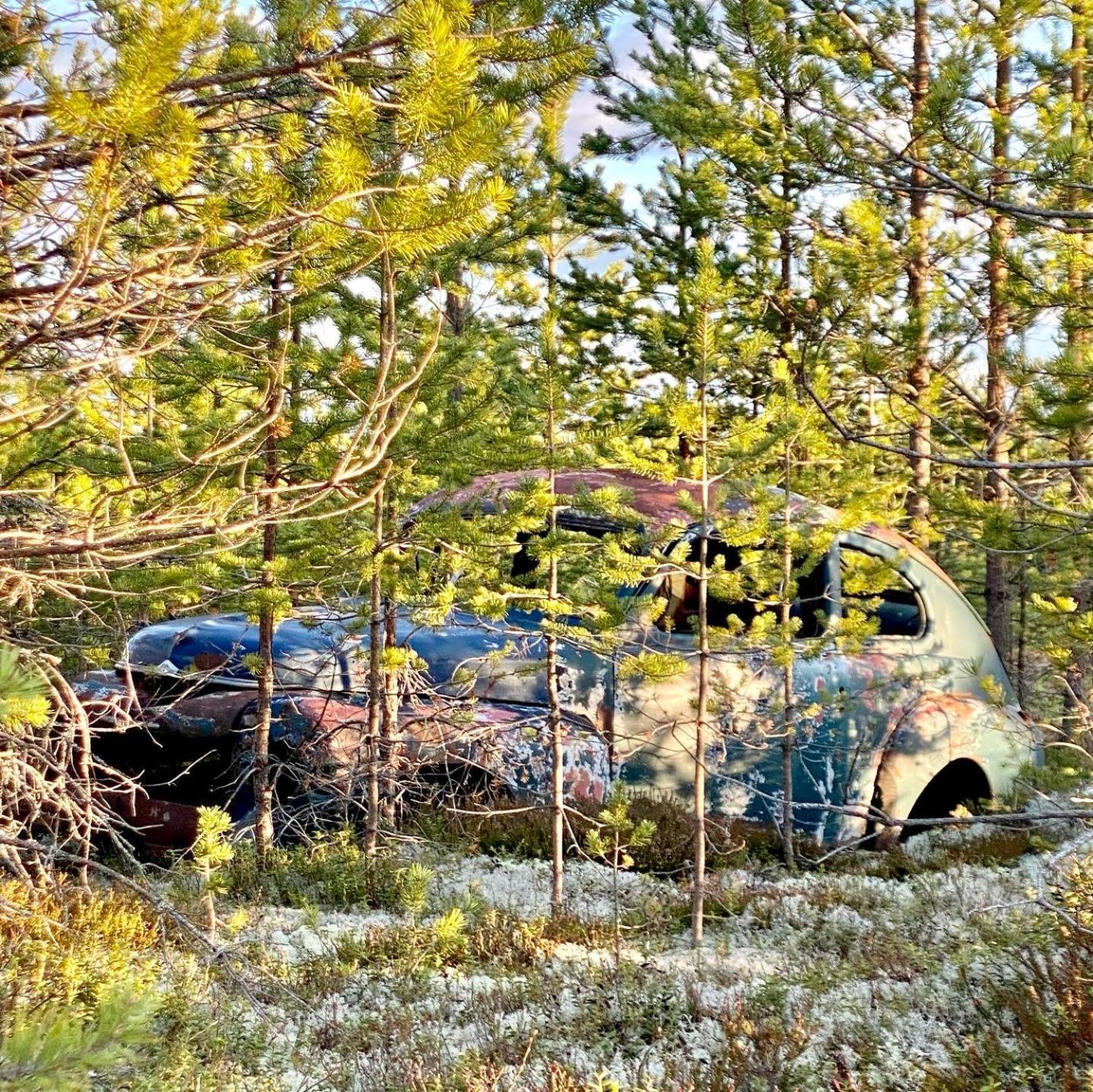 Hotel Offroadcamp Sörsjön Zewnętrze zdjęcie